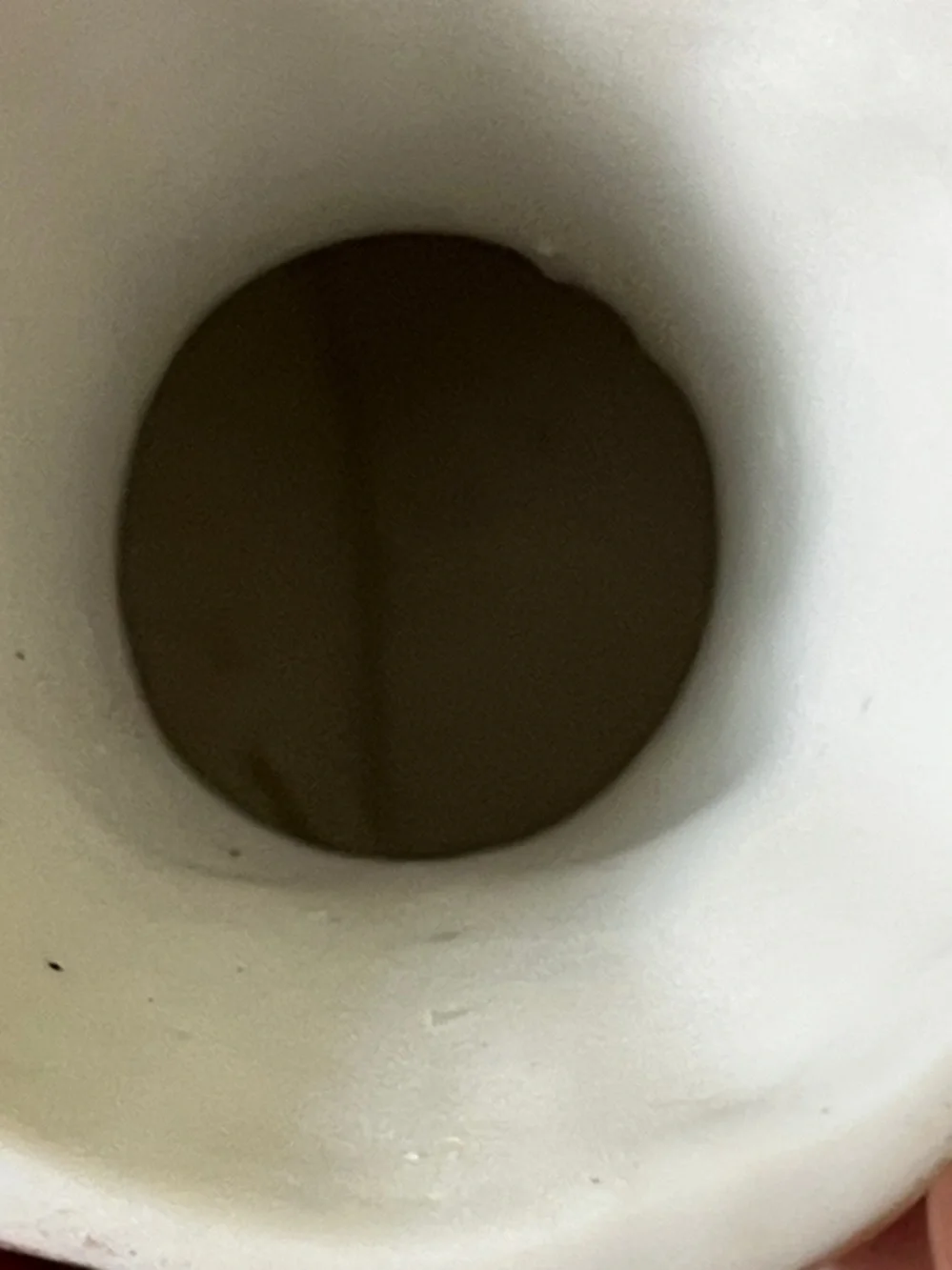 Vintage Decorative Bisque Porcelain Bud Vase